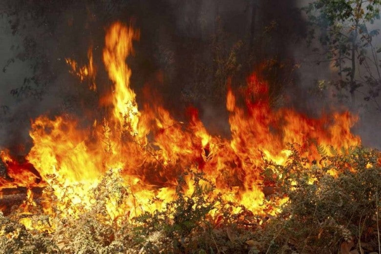 Φωτιά στη Ζάκυνθο: Νύχτα κόλαση! Κάηκε σπίτι στο χωριό Μαριές – Απομακρύνθηκαν οι κάτοικοι